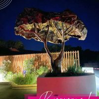 386255163_791599722974657_5817397999802248496_n