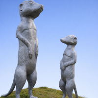 ChatGPT Image 27 févr. 2026, 09_47_18