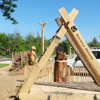 grenouille et loutre 2