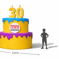 mini chateau detouré